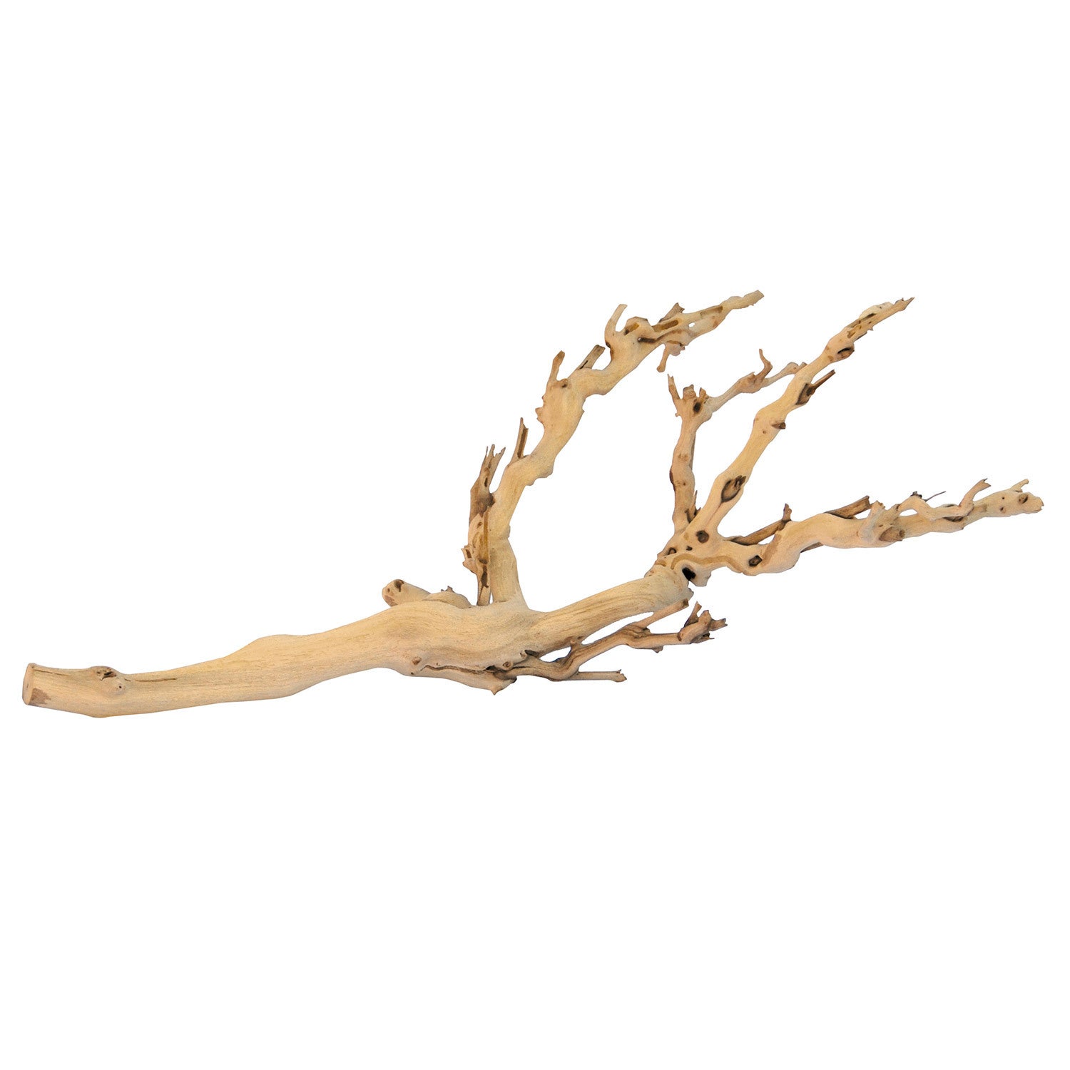 Exo Terra Forest Branch Reptile Terrarium Décor