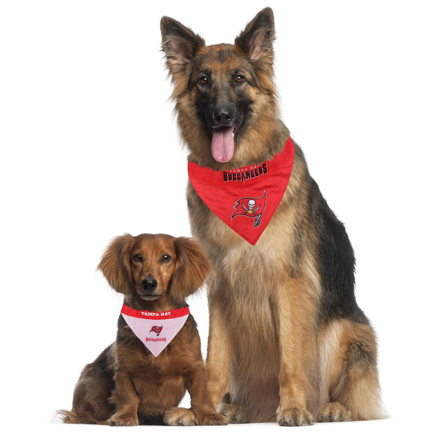 Pets First Tampa Bay Buccaneers Reversible Dog Bandana, Large