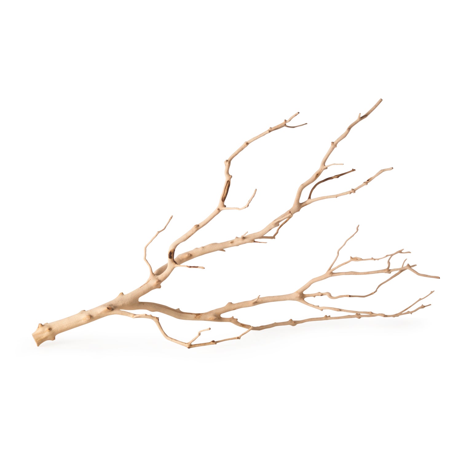 Galápagos Staghorn Branch Aquarium And Terrarium Decor, Manzanita Branch, Natural 19-24