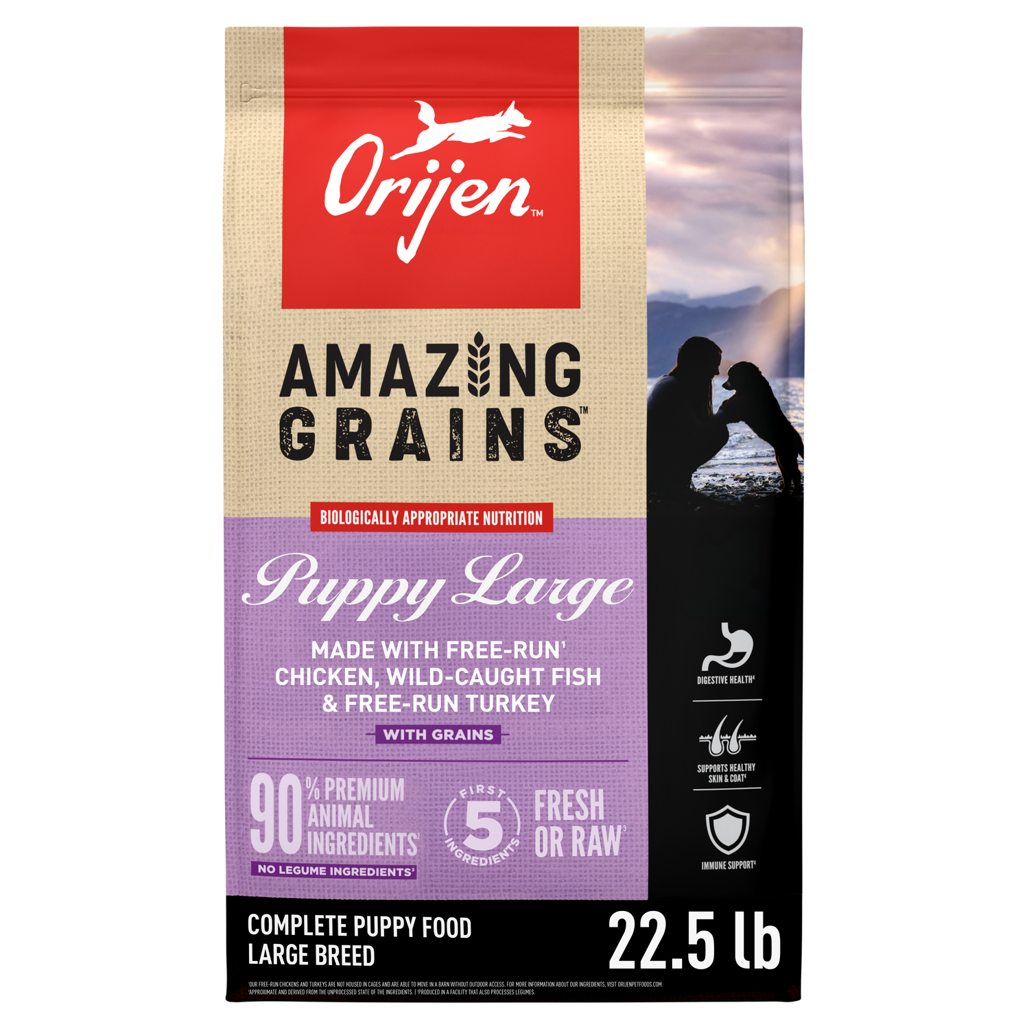 Orijen Amazing Grains Puppy Large High-Protein Dry Dog Food, 22.5-Lb Bag