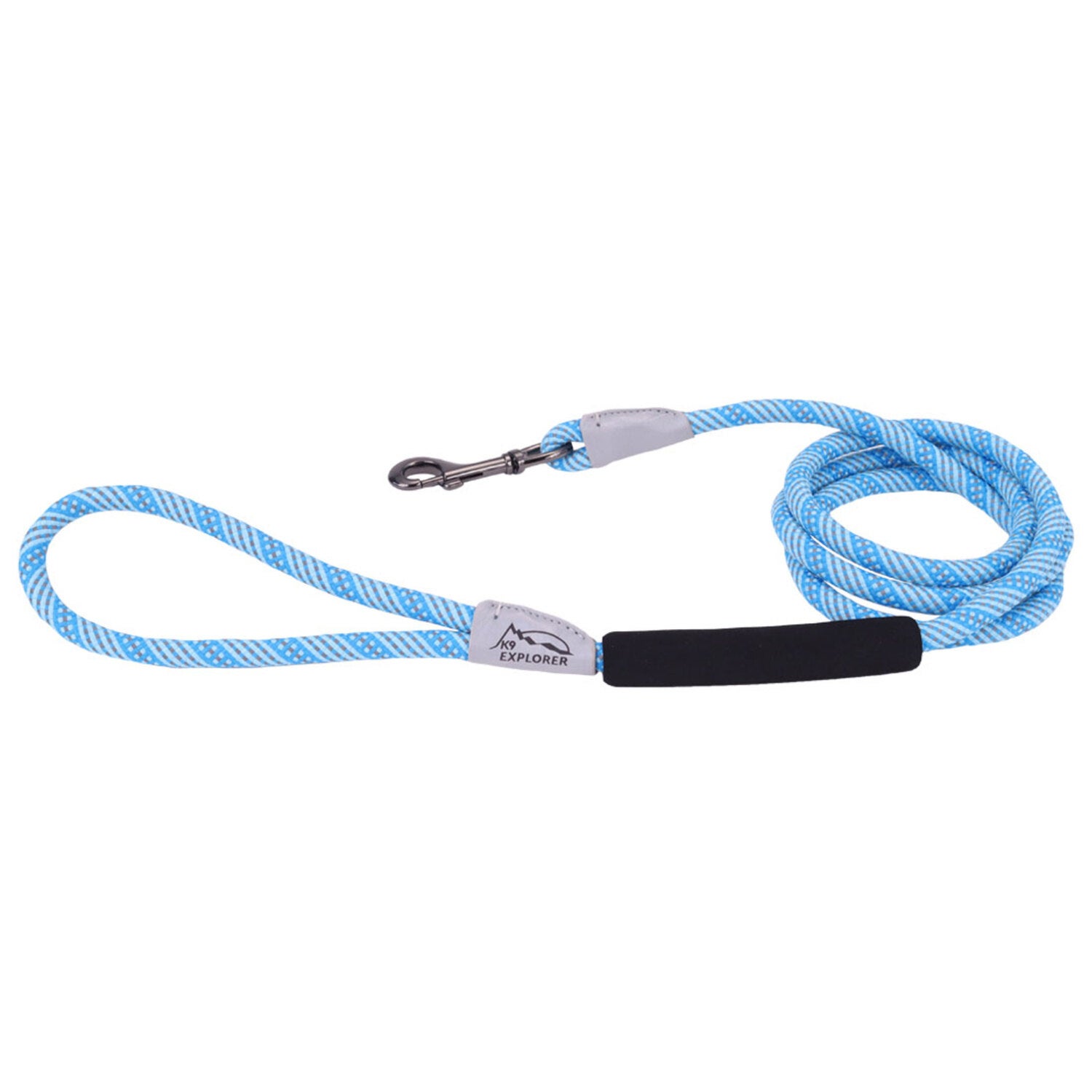Coastal K9 Explorer ® Brights Reflective Braided Rope Snap Dog Leash, Lake, 3/8 X 6'