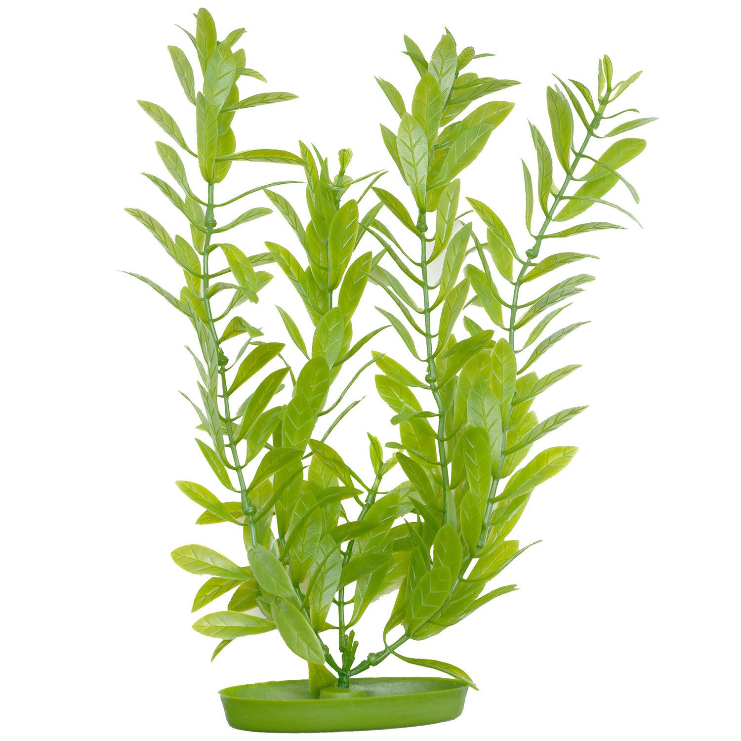 Marina Aquascaper Hygrophila Aquarium Plant