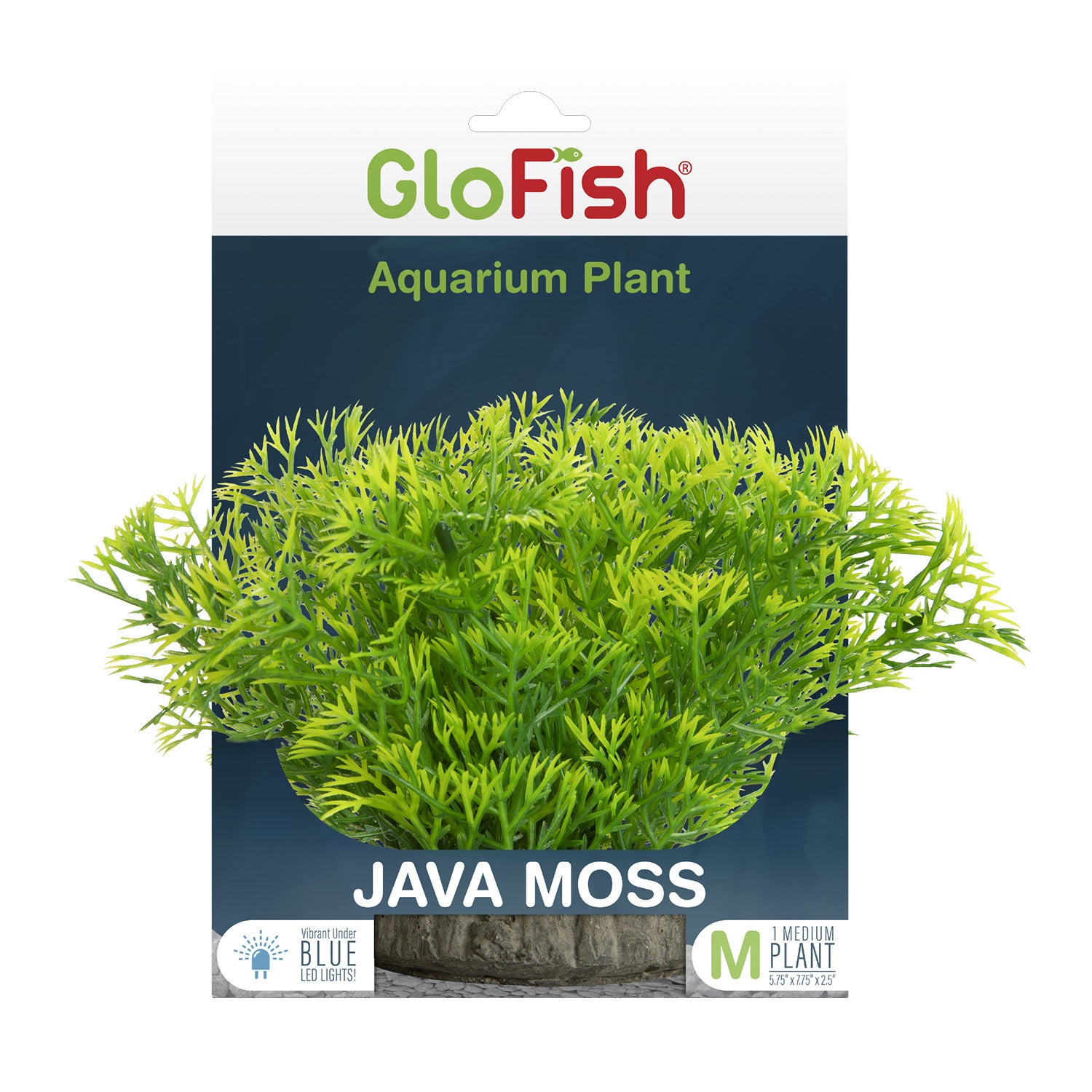 Glofish Javamoss Aquarium Plant