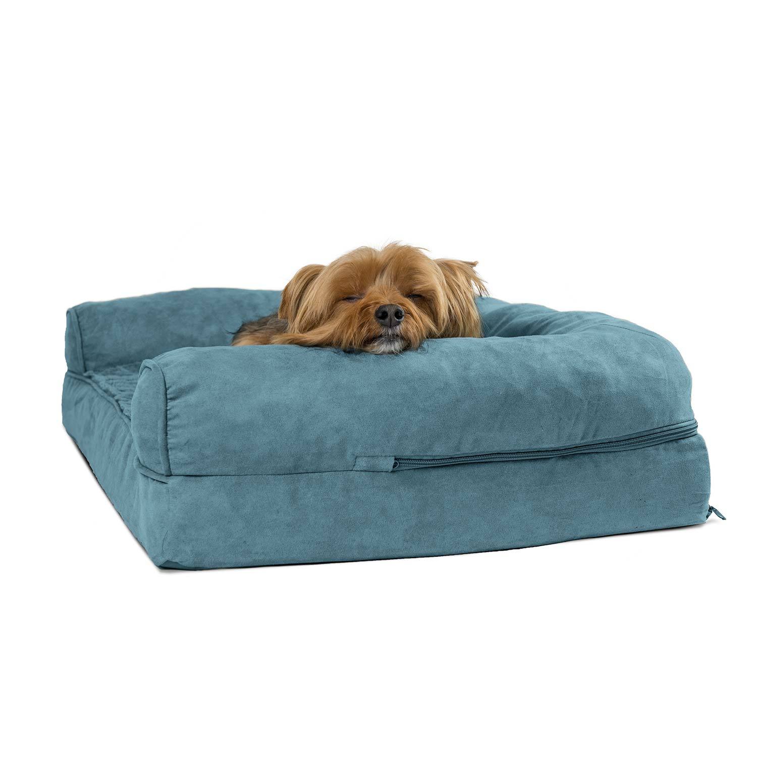 pet urine out of mattress