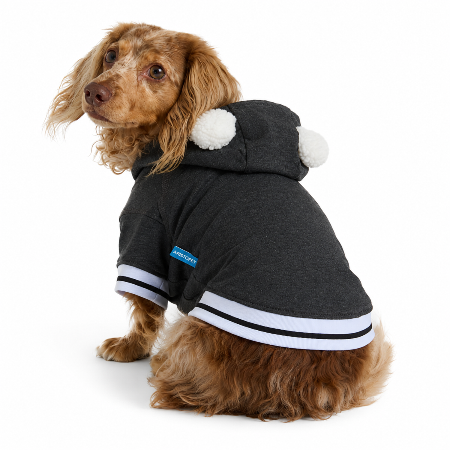 Aristopet Light Pullover Dog Hoodie With Ears On Hood, Extra Large