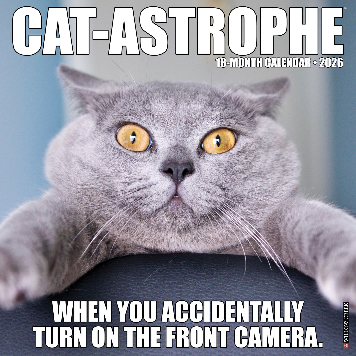 Willow Creek Press 2026 Cat-Astrophe Wall Calendar