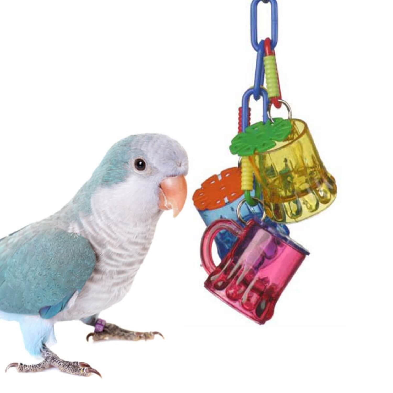 Super Bird Creations Cheers Sr. Foraging Toy For Birds