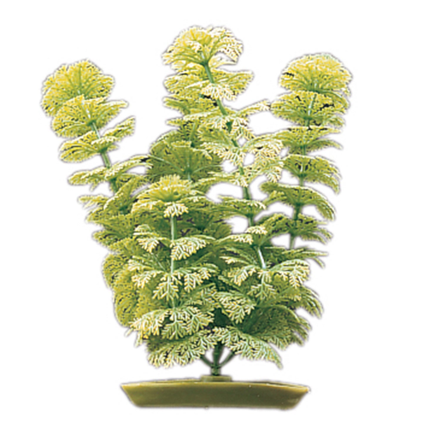 Marina Aquascaper Ambulia Jumbo Aquarium Plant
