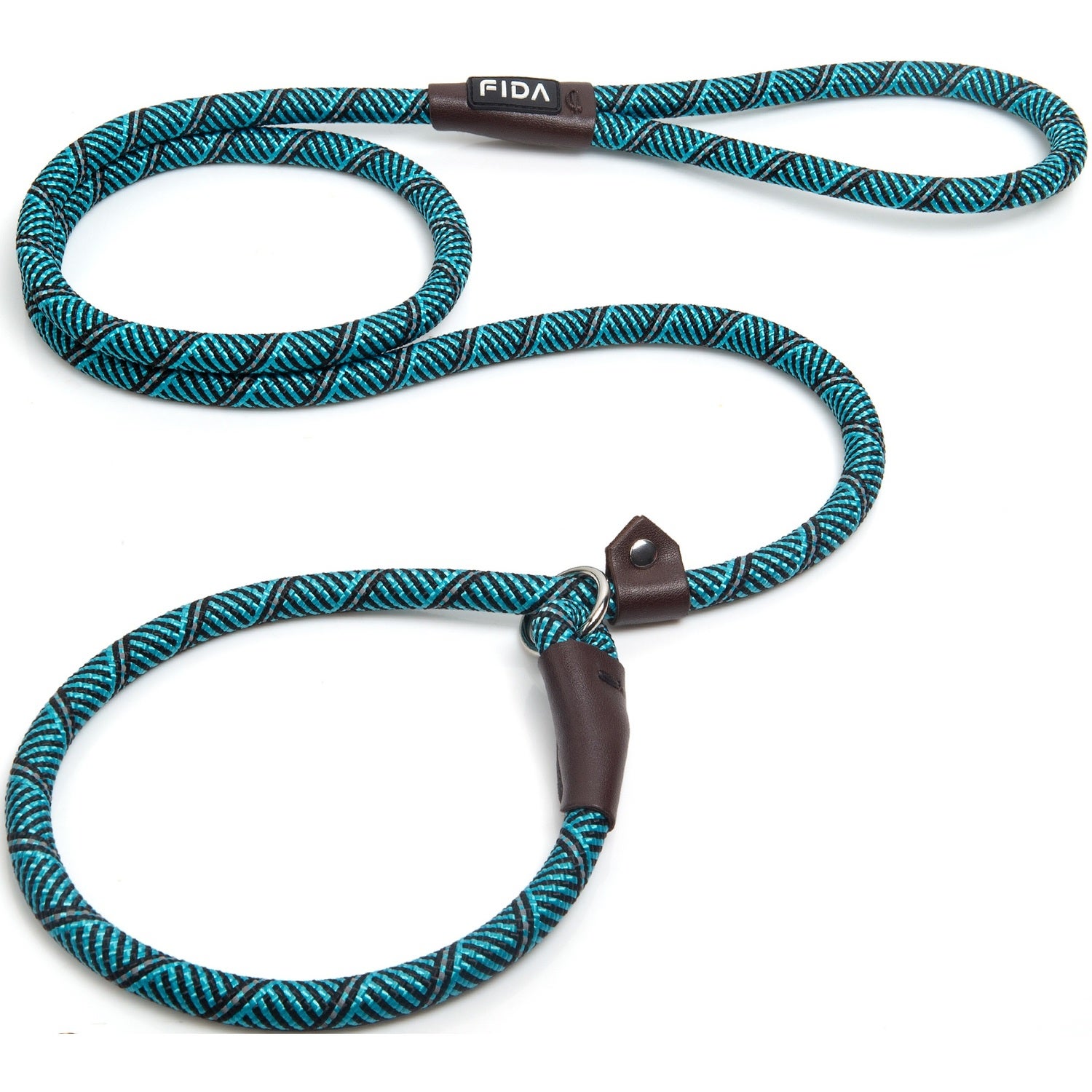 Fida Pet Slip Rope Training Dog Leash, Blue, 6-Ft