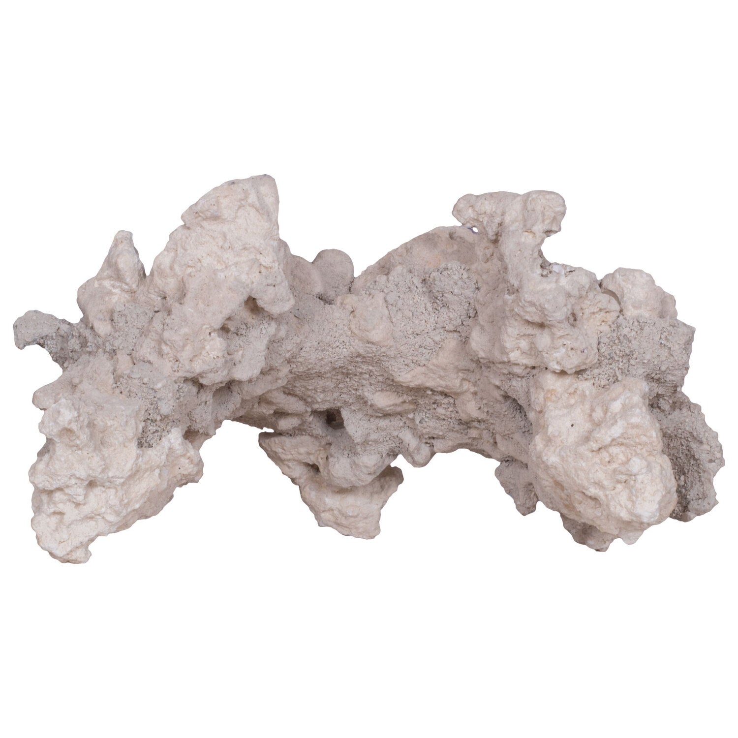 Fish Aquarium Decor Carib Sea South Seas 12 Arch