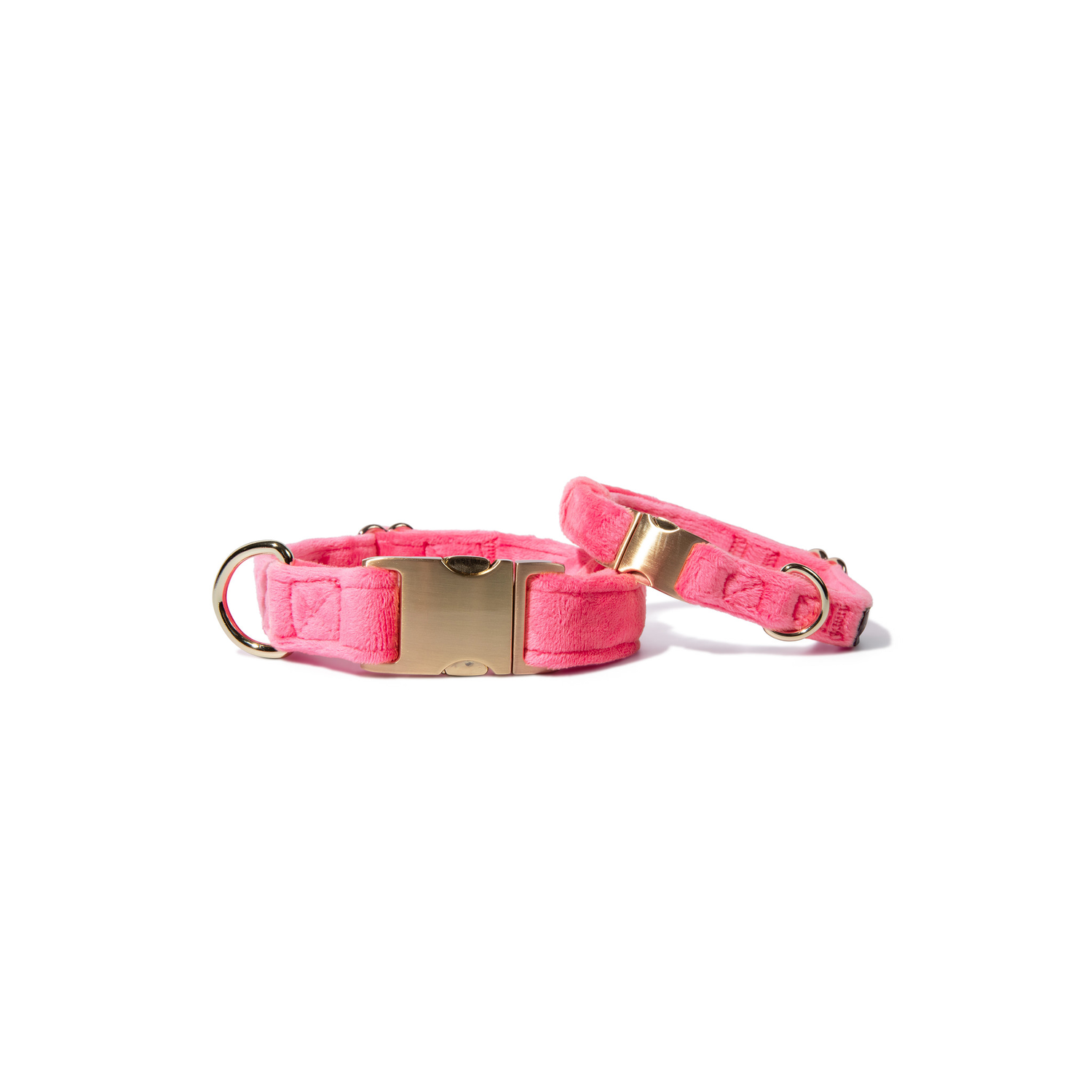 Pink Papyrus Valentina Velvet With Gold Buckle Adjustable Dog Collar, Pink, Large 18-28