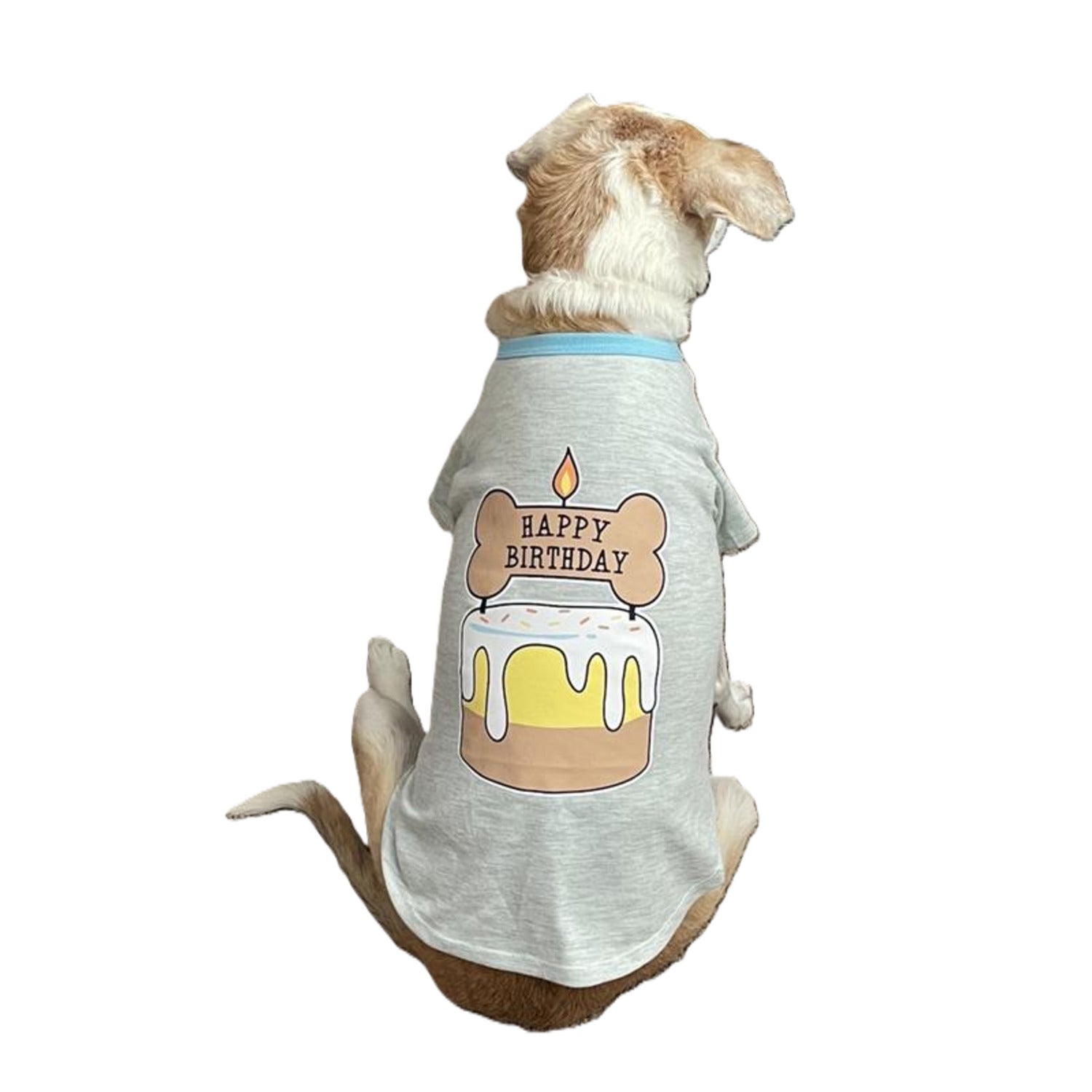 Bailey & Bella Gray Happy Birthday Dog T-Shirt, Small