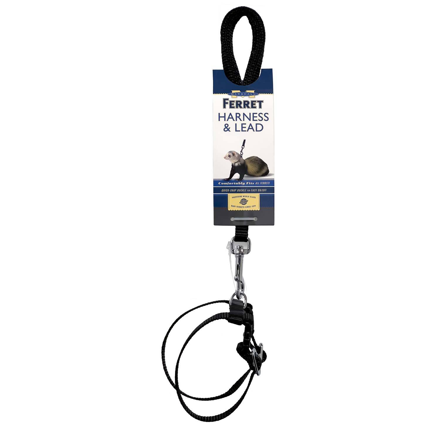 Marshall Harness & Lead, Black For Small Animals