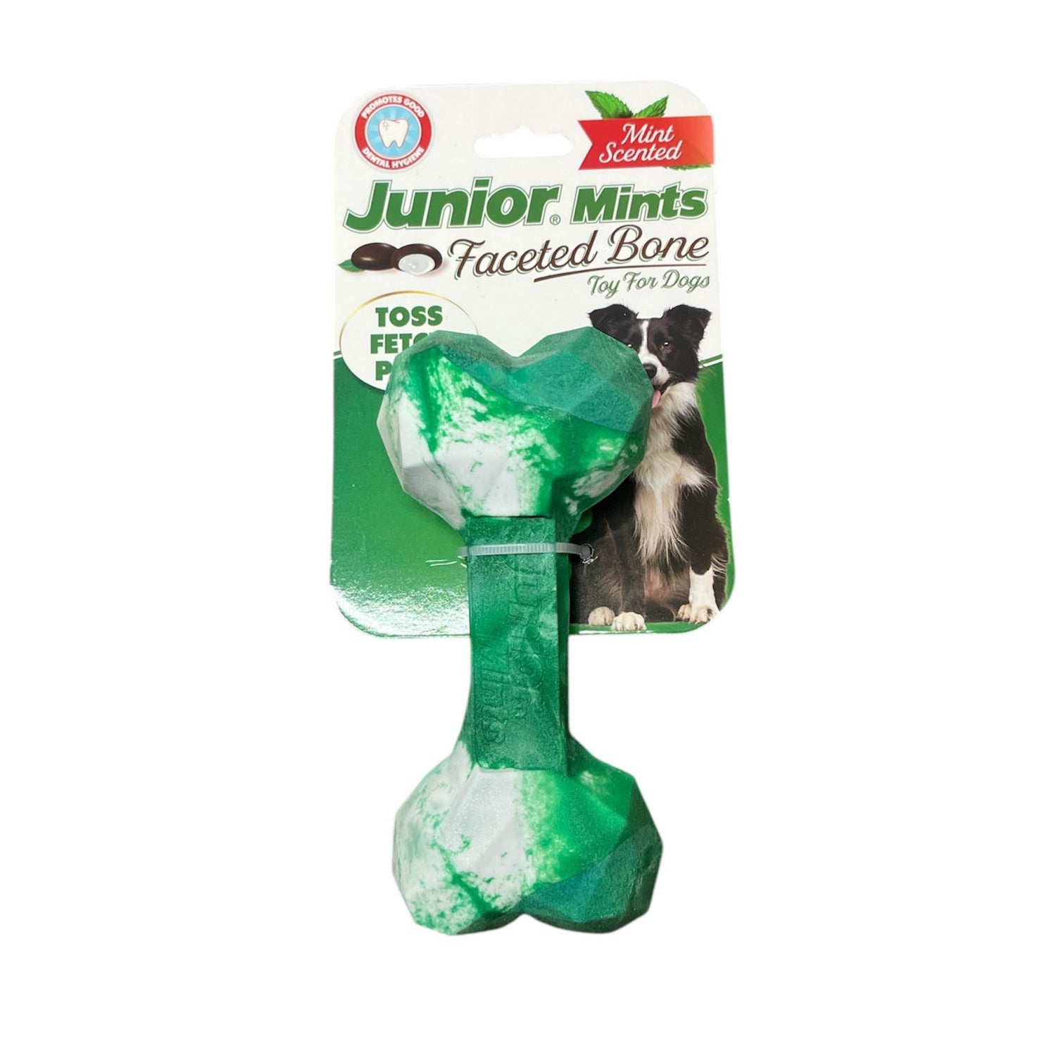 Tootsie Junior Mints Geo Bone Durable Rubber Dog Chew Toy, 6