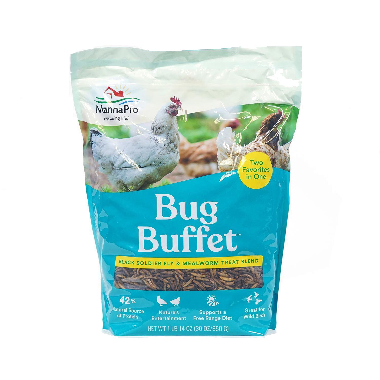 Manna Pro Bug Buffet Bird Treat