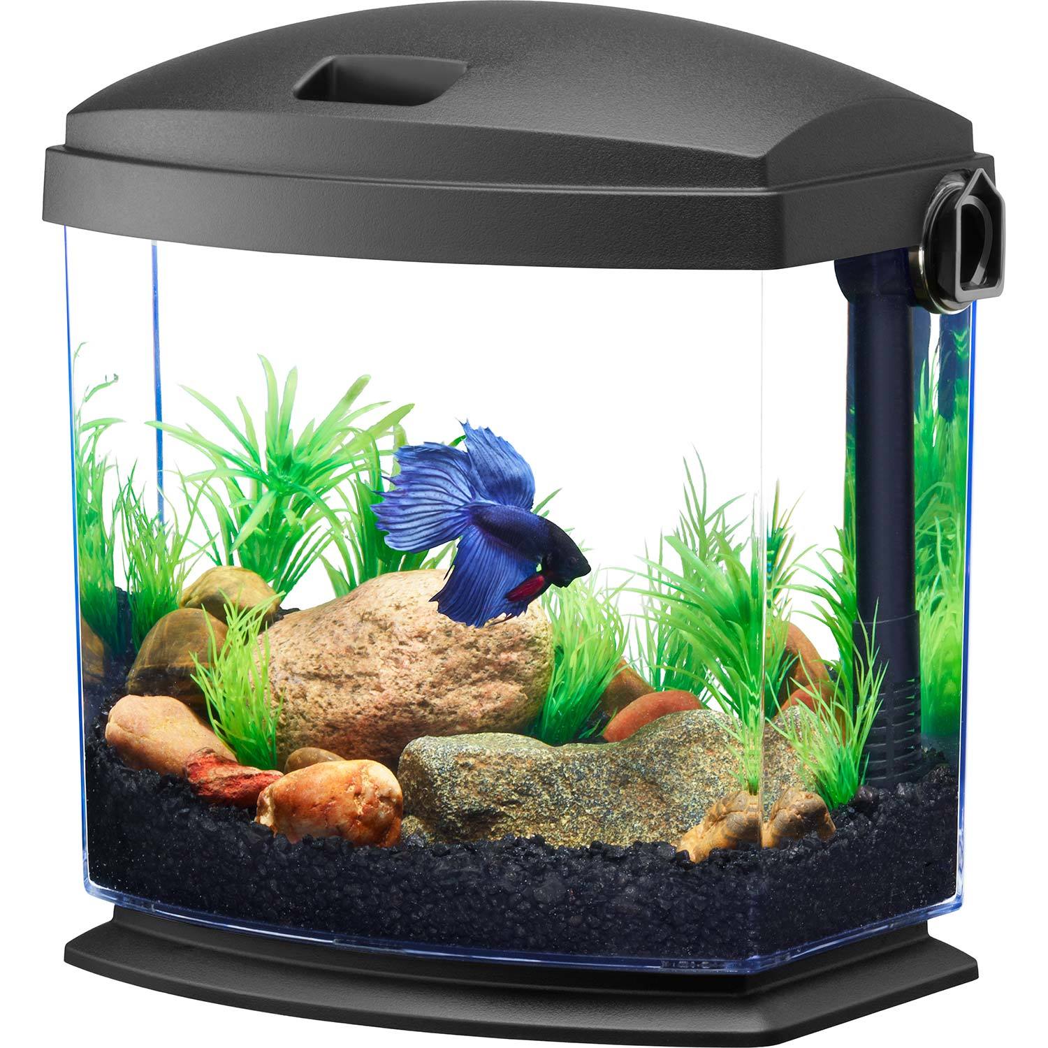 Aqueon Bettabow1 With Quick Clean Technology Desktop Aquarium Kit 1 Gal