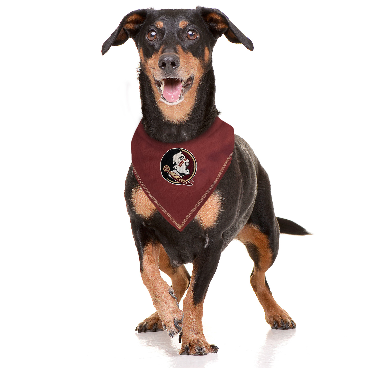 Pets First Florida State University Seminoles Tie Around Dog Bandana, Large/Extra Large