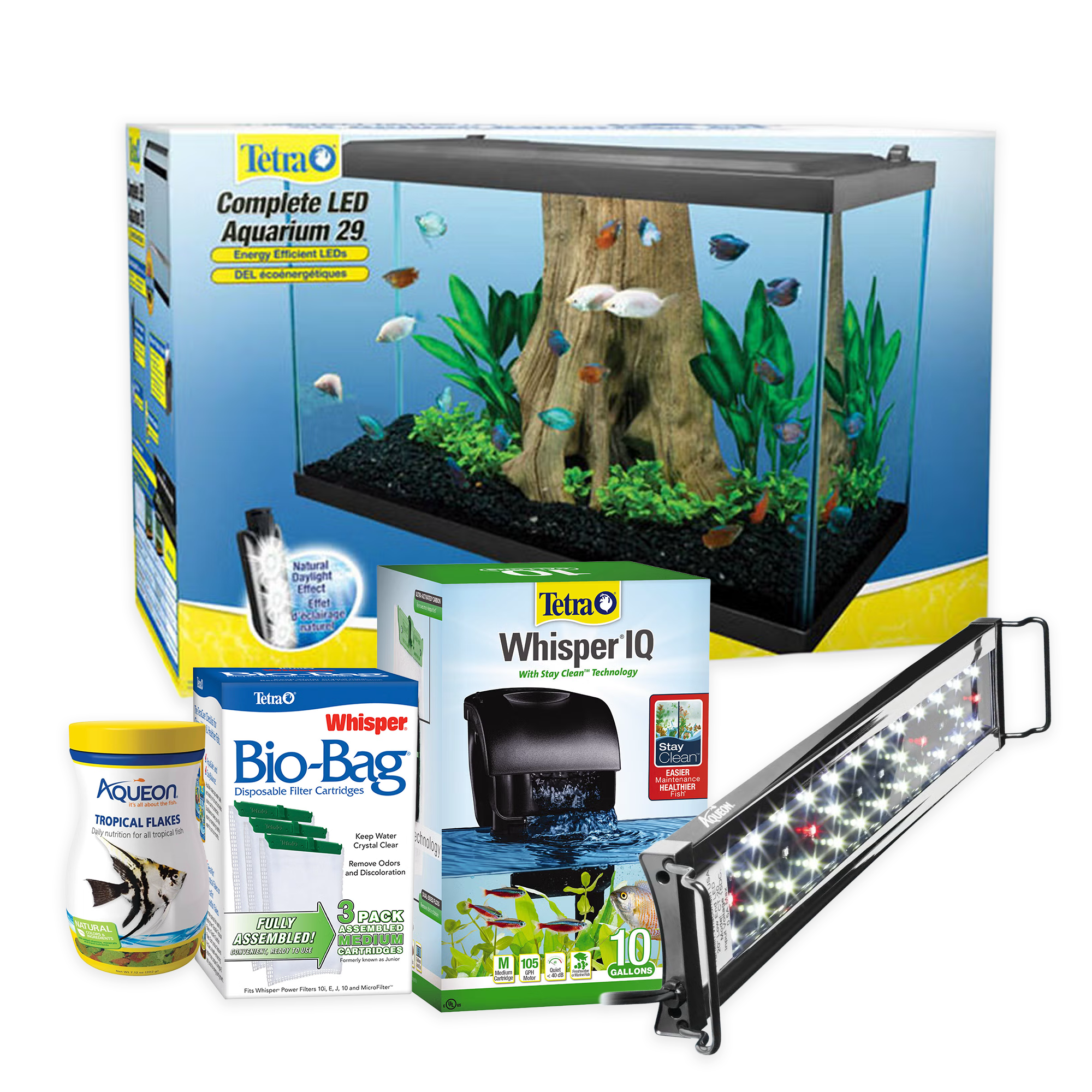 Saltwater Tank Setup for Angelfish: A Complete Guide