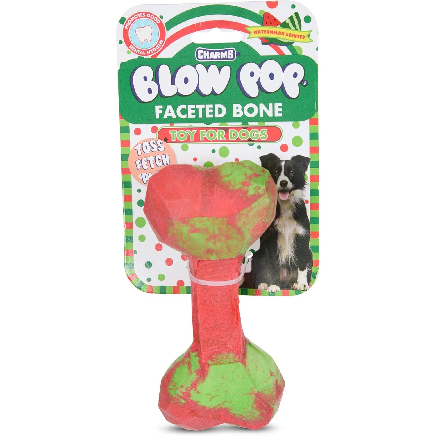 Tootsie Blow Pop Geo Bone Durable Rubber Dog Chew Toy, 6