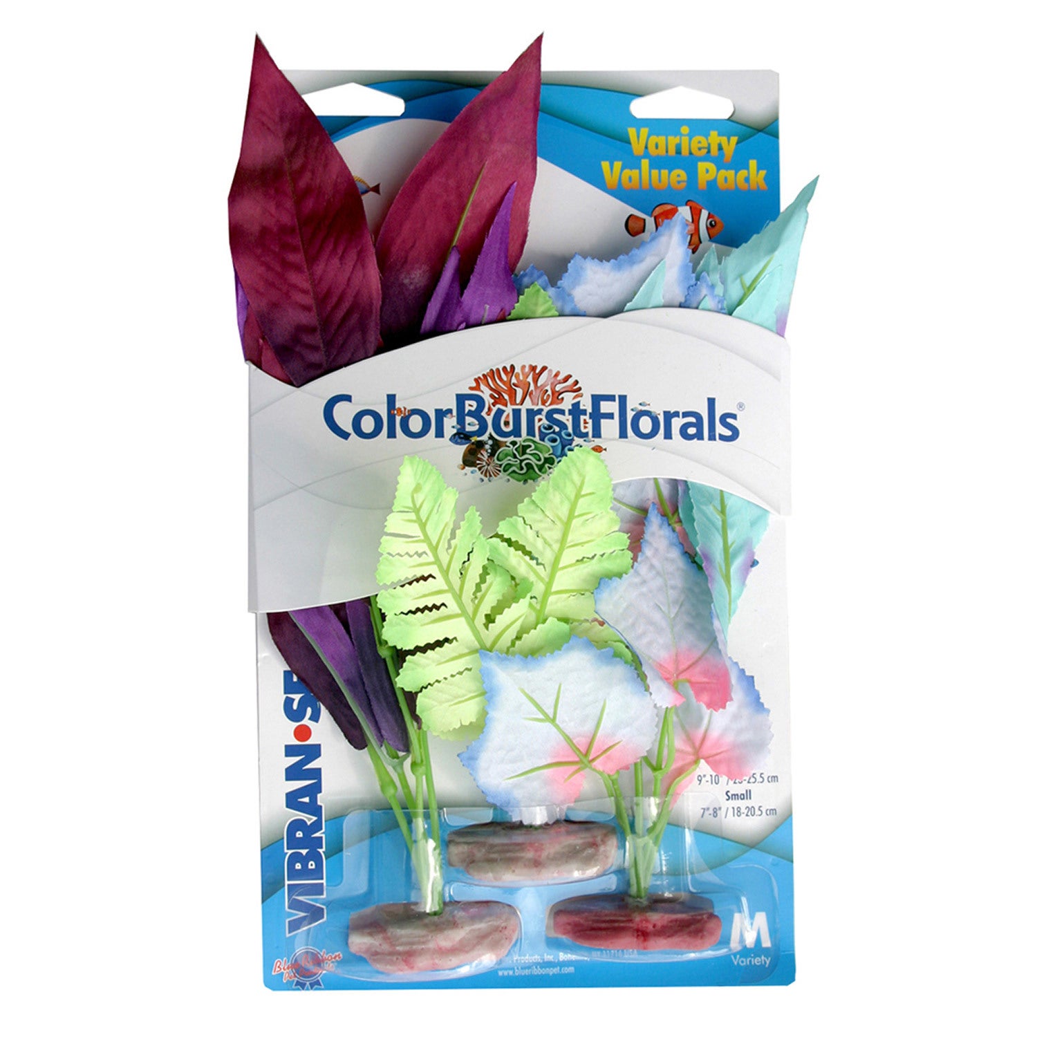Blue Ribbon Color Burst Flowering Broad Leaf & Sword Cluster Aquarium Plant