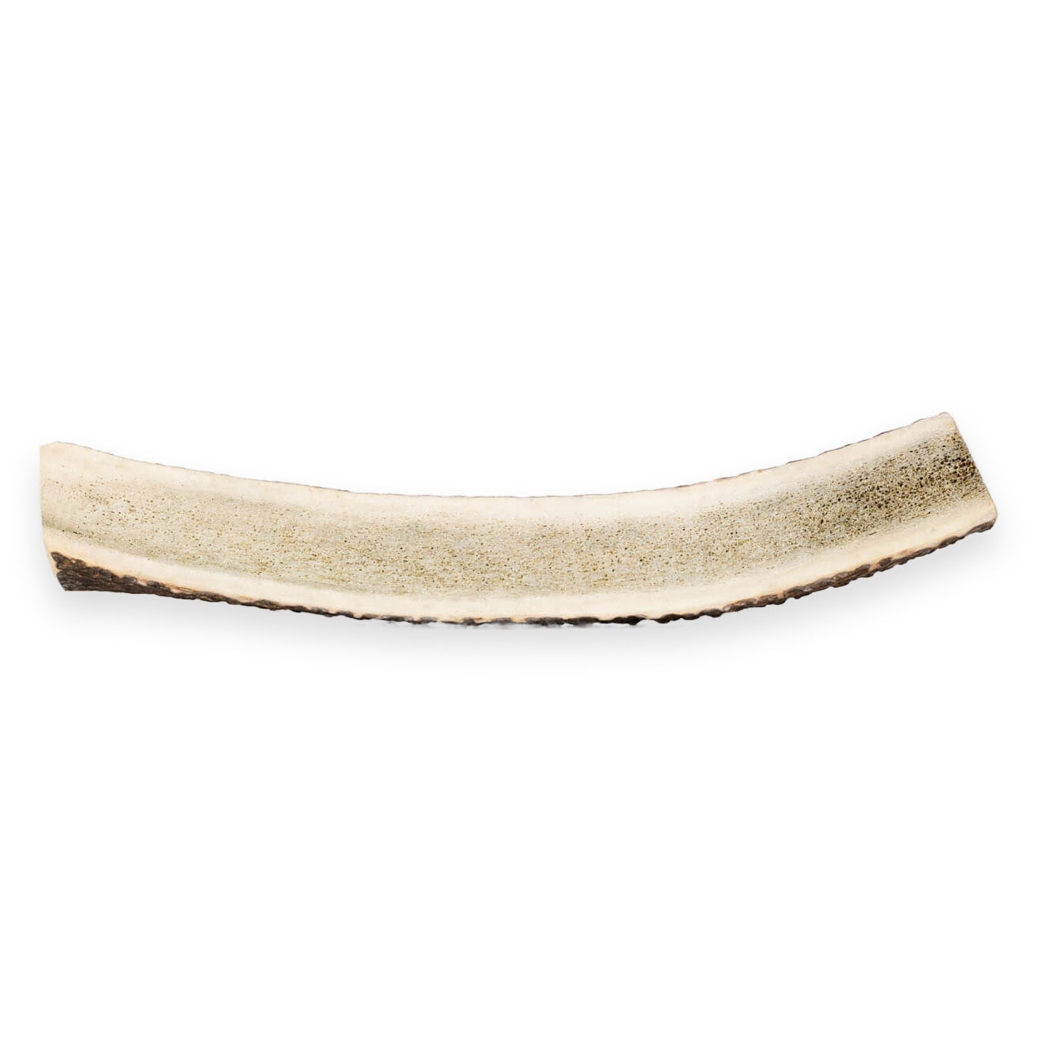 Primal Stag Antler Dog Treat, X-Large