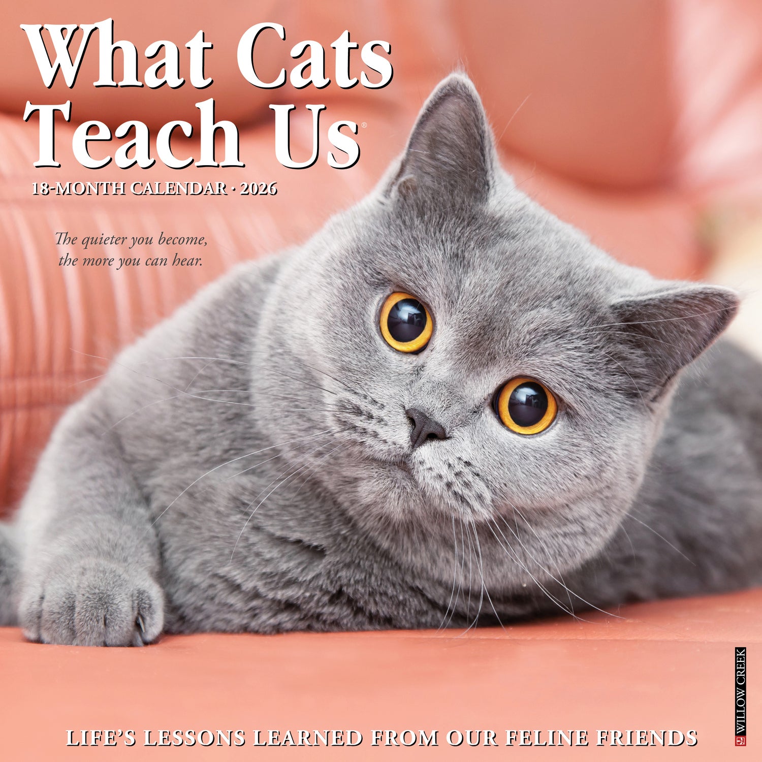 Willow Creek Press 2026 What Cats Teach Us Wall Calendar