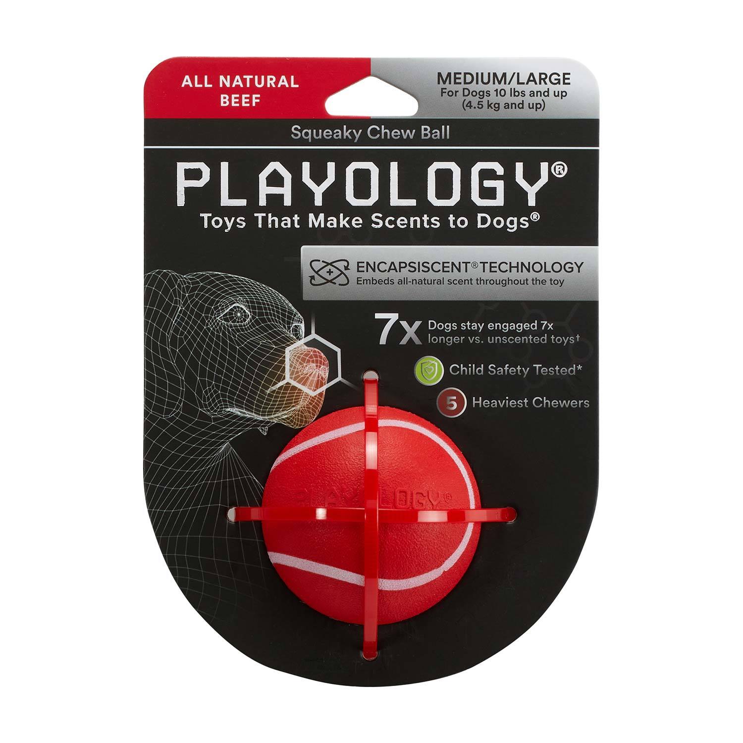 Playology Beef Scented Squeaky Chew Ball Dog Toy