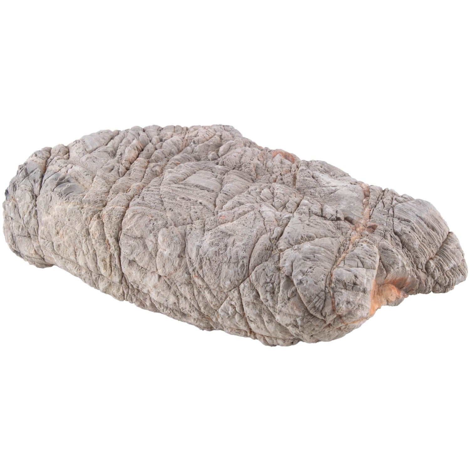 Carib Sea All Natural Reptile Rock Baja Boulder