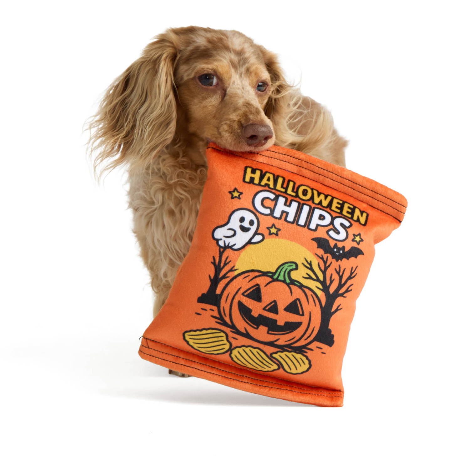 Aristopet Halloween Chips Bag Squeak And Crinkle Plush Dog Toy