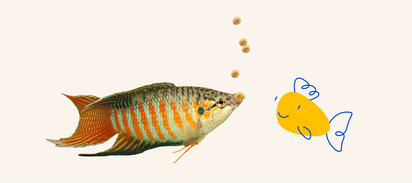 Pet top supermarket fish